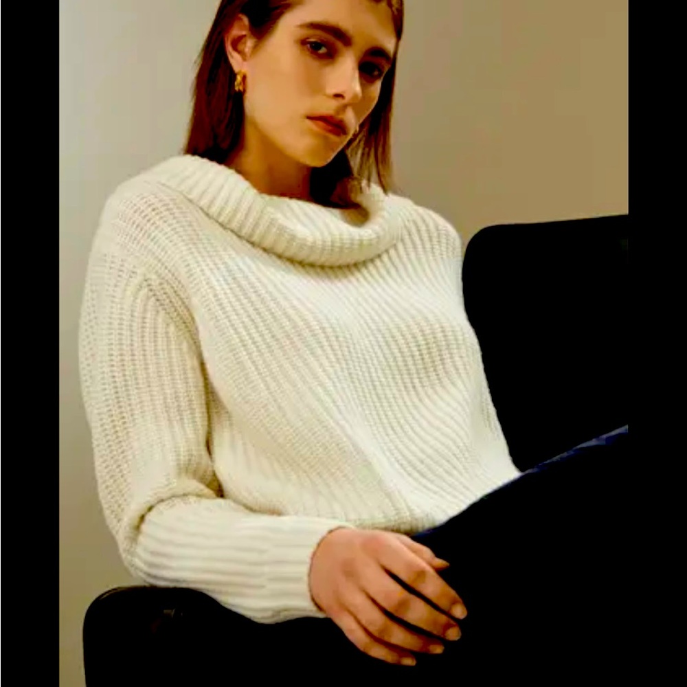 Ruby Rd Petite Chunky Polyester Cowl Neck Sweater - image 1